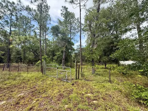 tbd NE 3rd Pl, Williston, FL 32696 photo 3