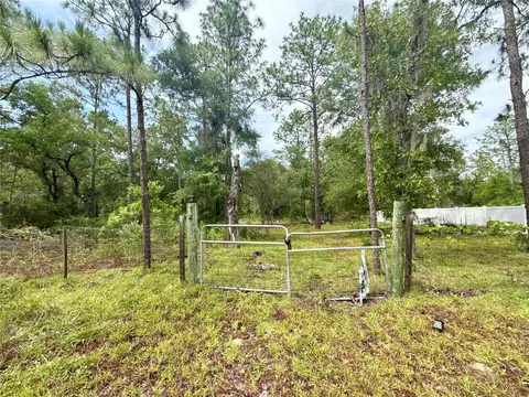 tbd NE 3rd Pl, Williston, FL 32696