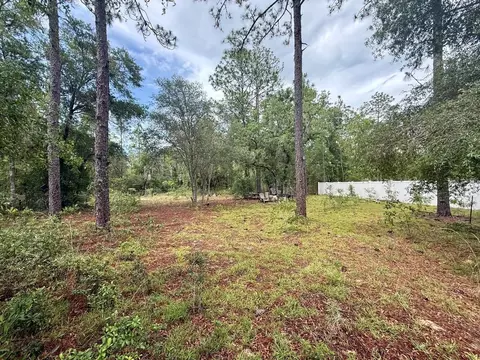 tbd NE 3rd Pl, Williston, FL 32696 photo 6