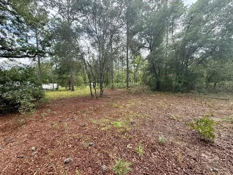 tbd NE 3rd Pl, Williston, FL 32696 photo 10