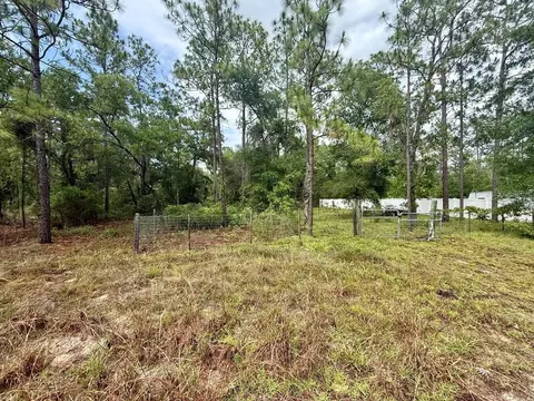 tbd NE 3rd Pl, Williston, FL 32696 photo 4
