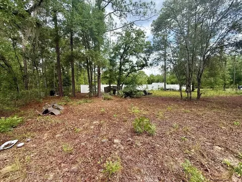 tbd NE 3rd Pl, Williston, FL 32696 photo 9