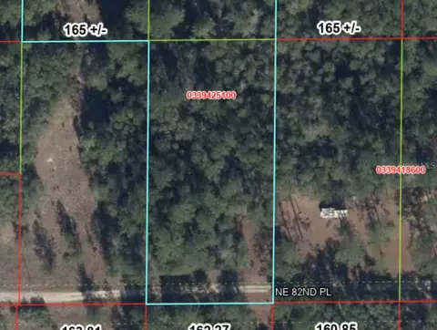 tbd NE 82nd Pl, Bronson, FL 32621 photo 3