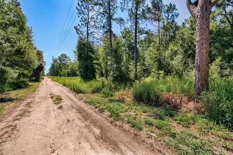 tbd NE 82nd Pl, Bronson, FL 32621 photo 2