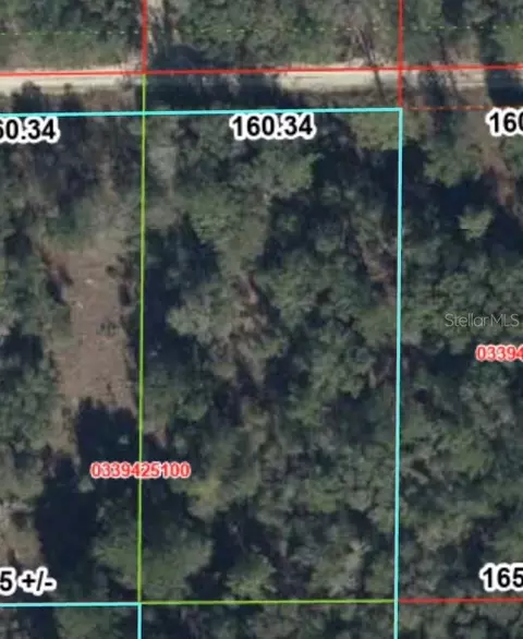 tbd NE 83rd Ln, Bronson, FL 32621 photo 3