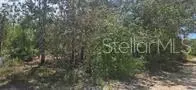 000 NE 67 St, Bronson, FL 32621