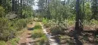 000 NE 67 St, Bronson, FL 32621 photo 2