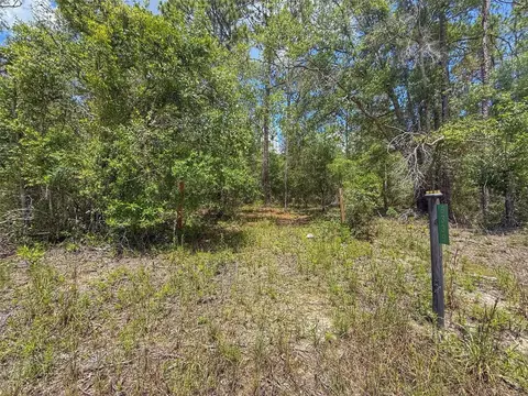 6339 NW 17th Ct, Bell, FL 32619