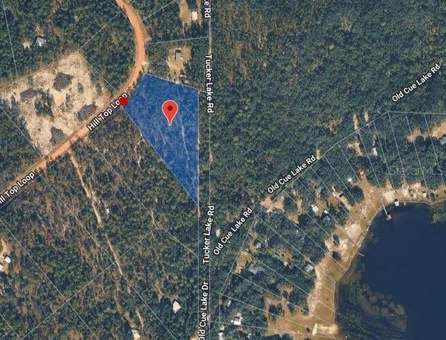 181 Hill Top Loop, Hawthorne, FL 32640