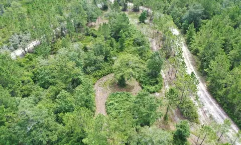 tbd Rock Island Rd, Perry, FL 32347 photo 2