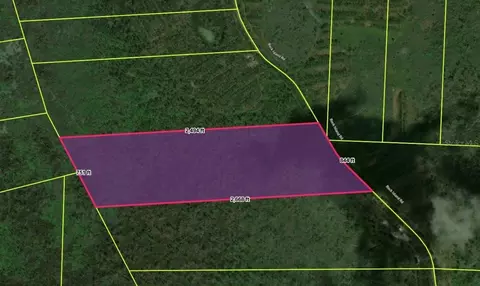 tbd Rock Island Rd, Perry, FL 32347