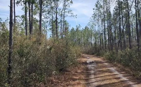 tbd Rock Island Rd, Perry, FL 32347 photo 9