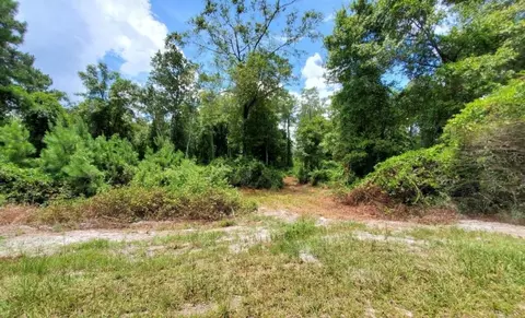 tbd Rock Island Rd, Perry, FL 32347 photo 4