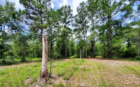 tbd Rock Island Rd, Perry, FL 32347 photo 3