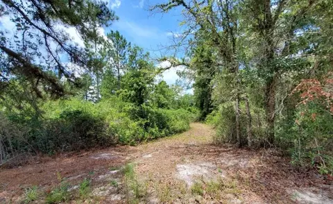 tbd Rock Island Rd, Perry, FL 32347 photo 5