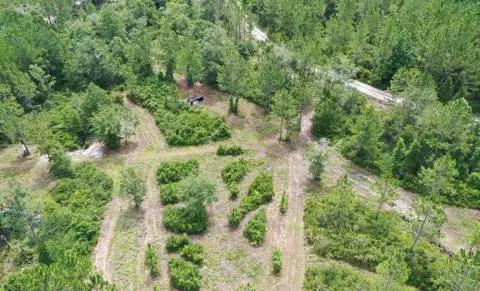 tbd Rock Island Rd, Perry, FL 32347