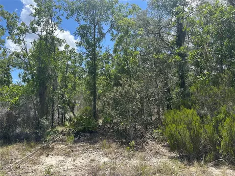 NE 101st Terrace, Archer, FL 32618