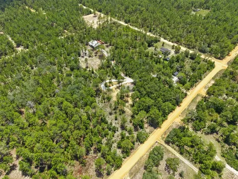 419 Lily Trl, Interlachen, FL 32148 photo 48