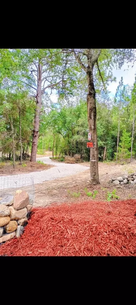419 Lily Trl, Interlachen, FL 32148 photo 56