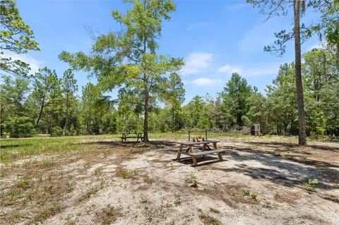 419 Lily Trl, Interlachen, FL 32148 photo 37