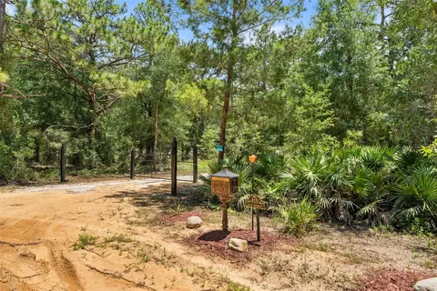 419 Lily Trl, Interlachen, FL 32148 photo 44