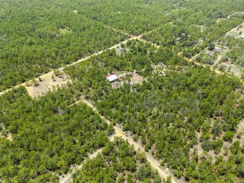 419 Lily Trl, Interlachen, FL 32148 photo 53