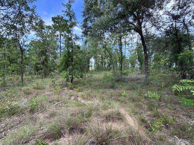 SE 16 Lane, Morriston, FL 32668