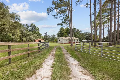 Other - 18950 NE 55th St, Williston, FL 32696 photo 16 of 24