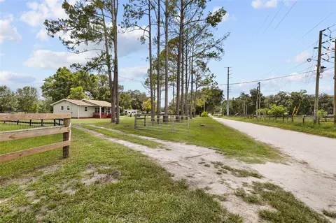 Other - 18950 NE 55th St, Williston, FL 32696 photo 15 of 24