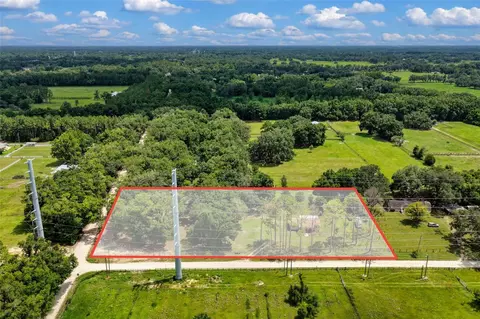View/Area - 18950 NE 55th St, Williston, FL 32696 photo 3 of 5
