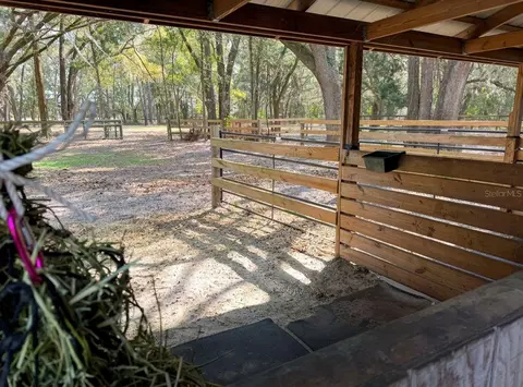 Other - 18950 NE 55th St, Williston, FL 32696 photo 23 of 24