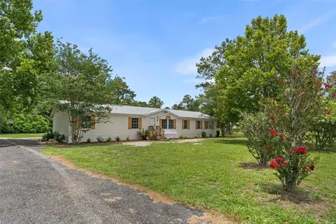 15591 NE 46th St, Williston, FL 32696 photo 3