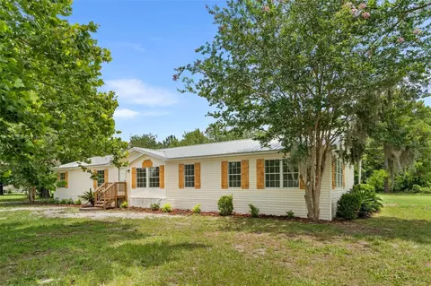 15591 NE 46th St, Williston, FL 32696 photo 2