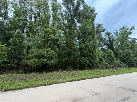 NE 312th Avenue, Old Town, FL 32680