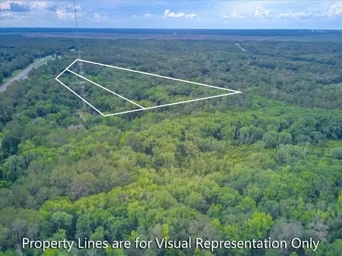 100 SE 134th Ave, Micanopy, FL 32667 photo 2