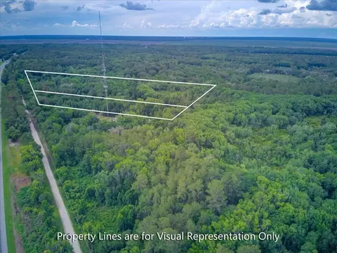 100 SE 134th Ave, Micanopy, FL 32667 photo 3