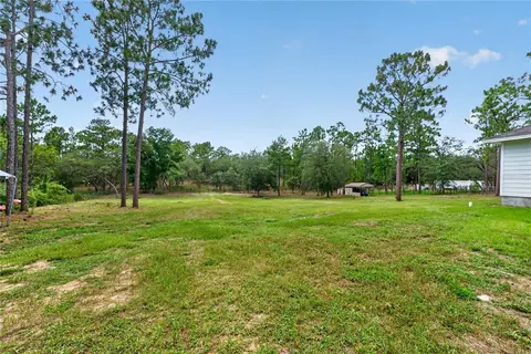 Exterior - 230 SE 150th Ave, Williston, FL 32696 photo 6 of 6