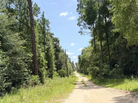 0 NE 77 Pl, Bronson, FL 32621 photo 3