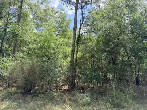 0 NE 77 Pl, Bronson, FL 32621 photo 4