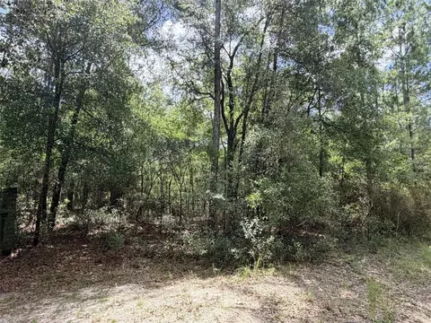 0 NE 77 Pl, Bronson, FL 32621 photo 6
