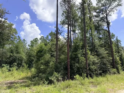 0 NE 77 Pl, Bronson, FL 32621 photo 7
