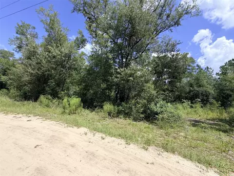 0 NE 77 Pl, Bronson, FL 32621 photo 5