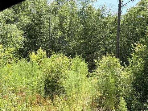 0 NE 77 Pl, Bronson, FL 32621 photo 2