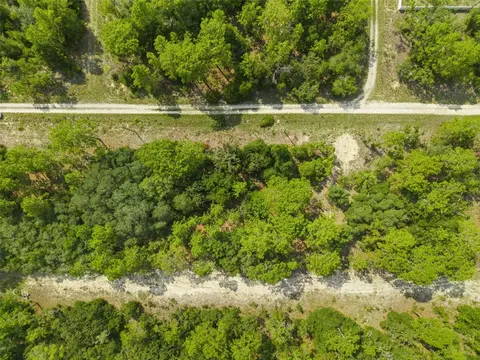 Ne 156th Ct, Williston, FL 32696 photo 8