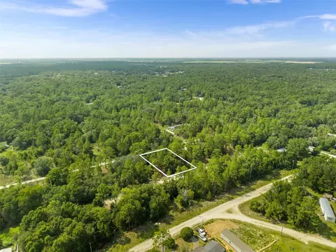 Ne 156th Ct, Williston, FL 32696 photo 4
