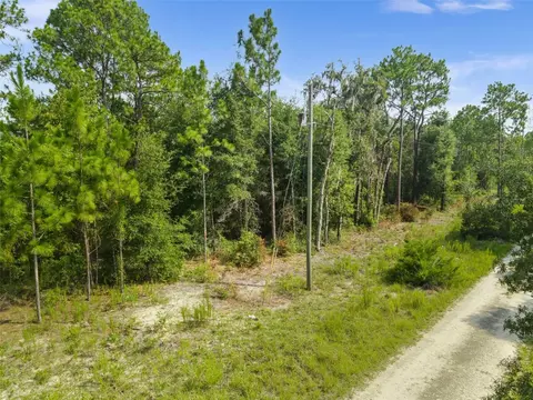 Ne 156th Ct, Williston, FL 32696 photo 6