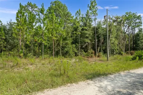 Ne 156th Ct, Williston, FL 32696 photo 11