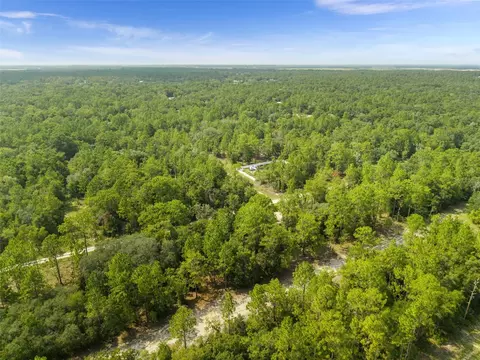 Ne 156th Ct, Williston, FL 32696 photo 3