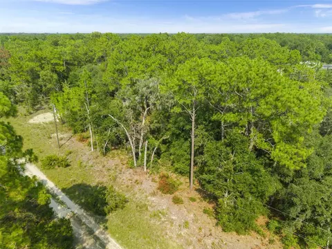 Ne 156th Ct, Williston, FL 32696 photo 10