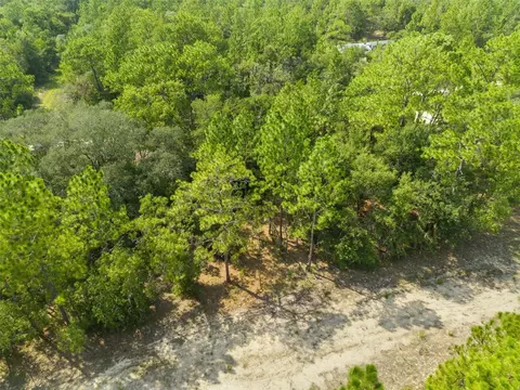 Ne 156th Ct, Williston, FL 32696 photo 9